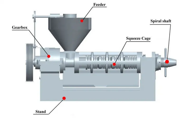 Basic structure of Screw Oil Press Machine