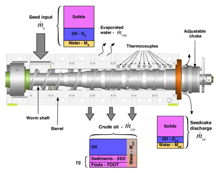How the screw oil press machine works