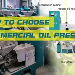 How to choose a commercial oil press machine