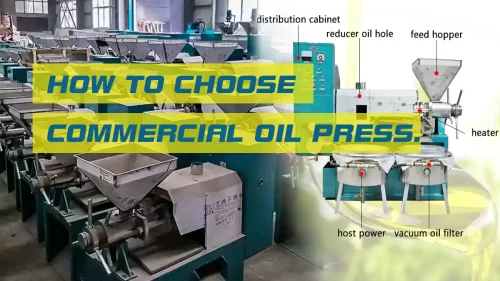 How to choose a commercial oil press machine