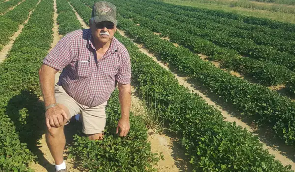 Ben at his peanut farm
