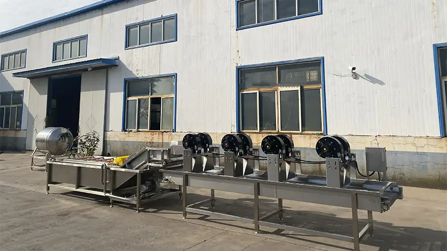 Highly efficient commercial ozone fruit and vegetable bubble washer conveyor belt Details (2)