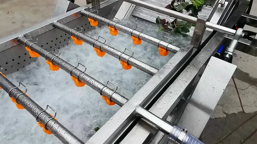 Highly efficient commercial ozone fruit and vegetable bubble washer conveyor belt Details (5)