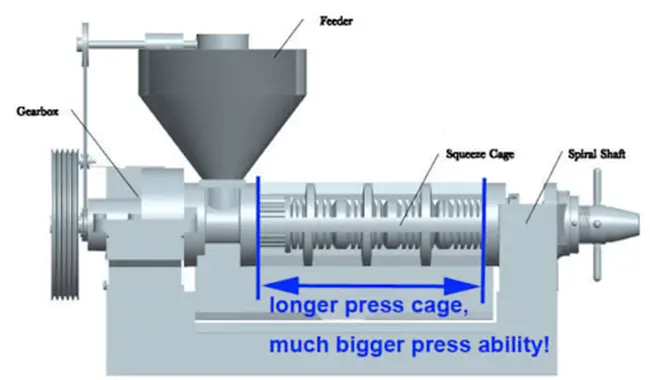 Screw Oil Press Pressing Chamber Length