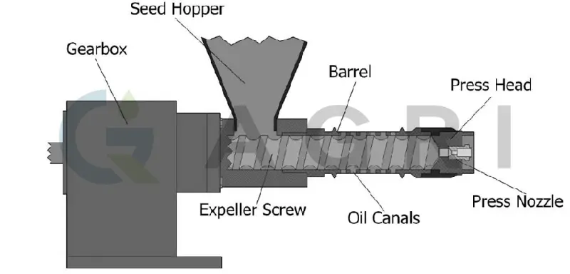 Screw Oil Press Screw design Dimensions