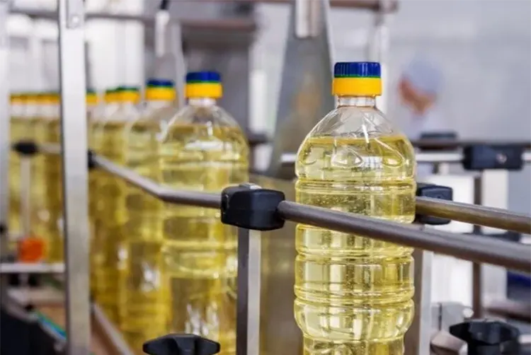 Bottle Sizes for Filling