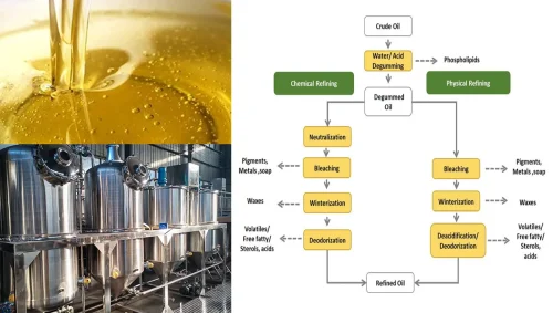 Core Processes and Technologies for Edible Oil Refining