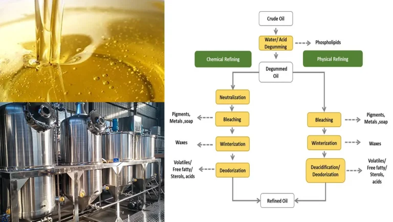 Core Processes and Technologies for Edible Oil Refining