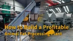 How to Build a Profitable Animal Fat Processing Plant